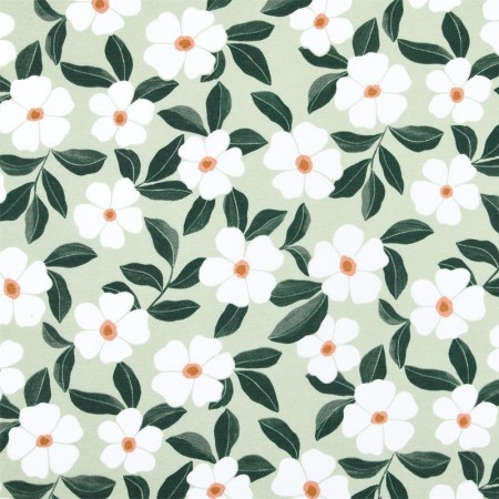 Tissu enduit - Damoiselle vert