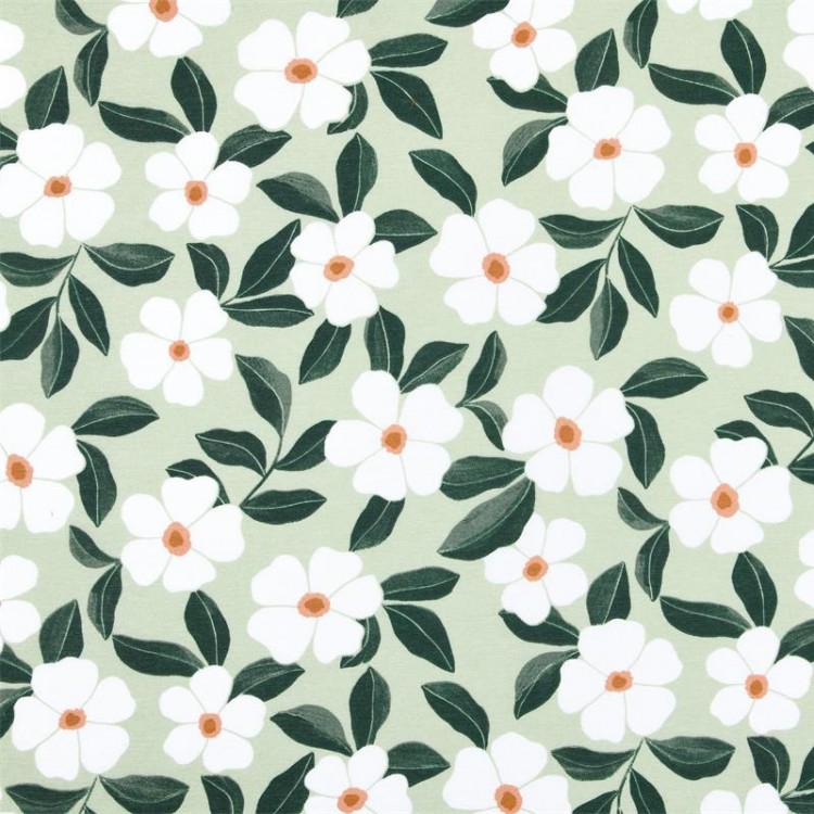 Tissu enduit - Damoiselle vert