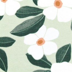 Tissu enduit - Damoiselle vert