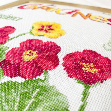 Fiche de broderie Lilipoints - Les capucines