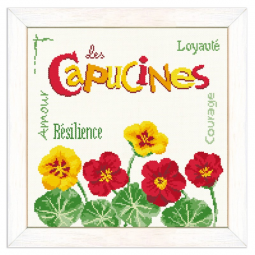 Fiche de broderie Lilipoints - Les capucines