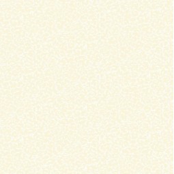 Tissu Fantaisie - Essential scroll - Cream