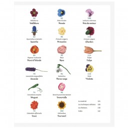 Livre - Fleurs au crochet