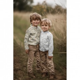 Tissu popeline - Animaux de la ferme sauge