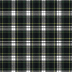 Tissu tartan - Carreaux blanc vert bleu
