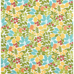 Tissu enduit - Fruitier multicolore