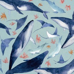 Tissu Katia fabrics - Popeline de coton - Seaside