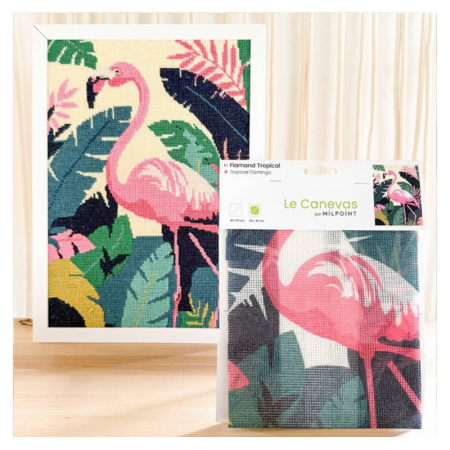 Canevas - Flamand tropical