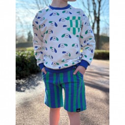 Tissu jersey sweat French Terry - Rayures bleu vert