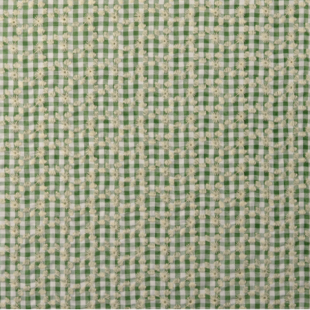 Tissu Broderie anglaise - Vichy olive