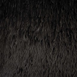 Tissu Katia fabrics - Fausse fourrure - Plumes noir