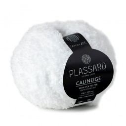 Calineige de Plassard