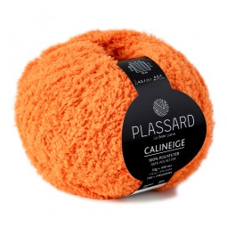 Calineige de Plassard