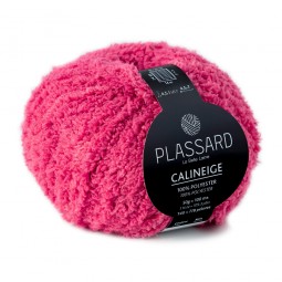 Calineige de Plassard
