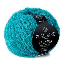Calineige de Plassard