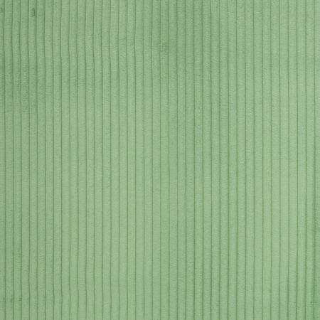 Tissu velours à côtes - Wanja vert pâle