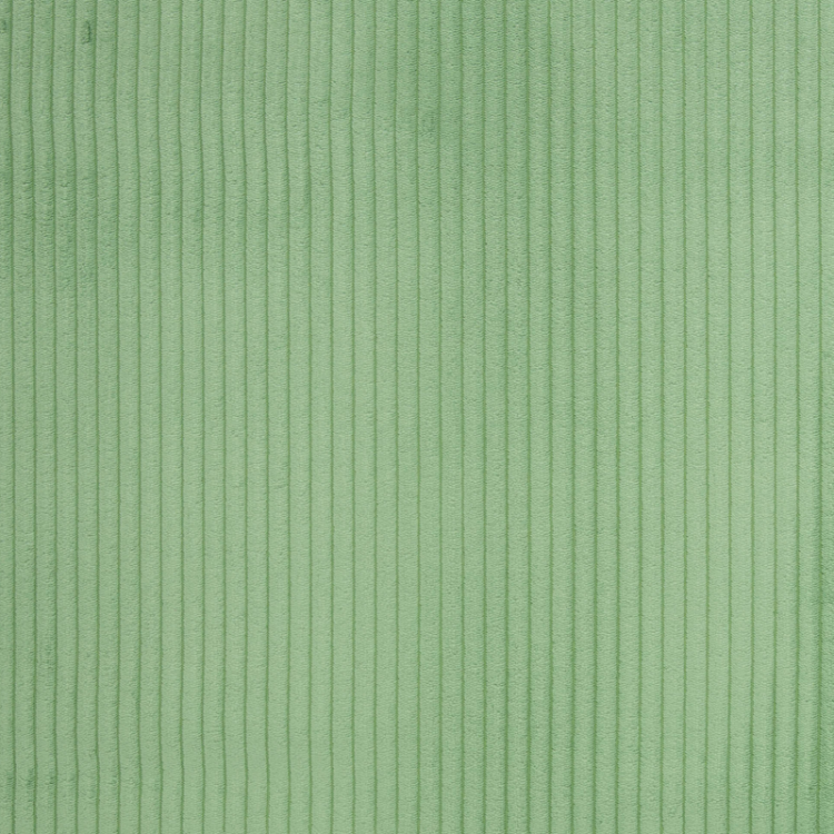 Tissu velours à côtes - Wanja vert pâle