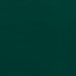 Tissu manteau - Vert