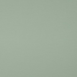Tissu sweat biologique french terry - Vert pâle