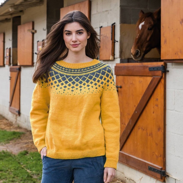 Kit de tricot - Pull sans manches - Basic merino