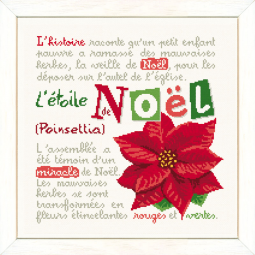 Fiche de broderie Lilipoints - L'étoile de Noël