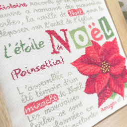 Fiche de broderie Lilipoints - L'étoile de Noël