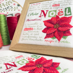 Fiche de broderie Lilipoints - L'étoile de Noël