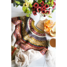 Livre - Tricot jacquard