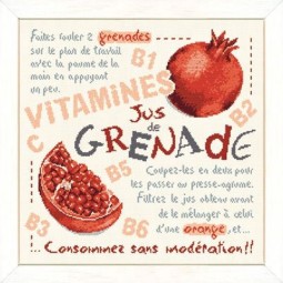Fiche de broderie Lilipoints : Jus de grenade