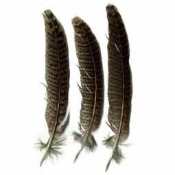 Plumes petits oiseaux 3 g