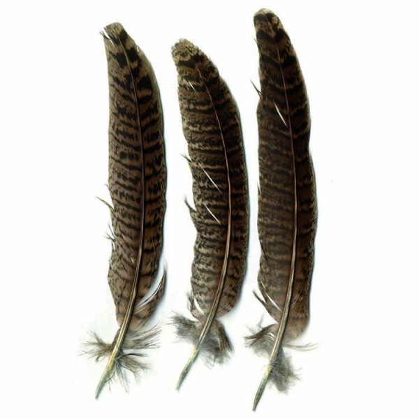 Plumes petits oiseaux 3 g