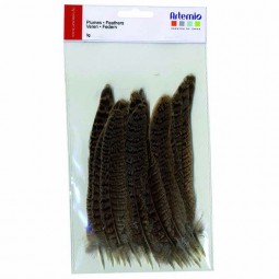 Plumes petits oiseaux 3 g