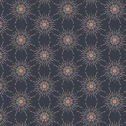 Art Gallery Fabrics - Enchanted voyage - Northstar gloom
