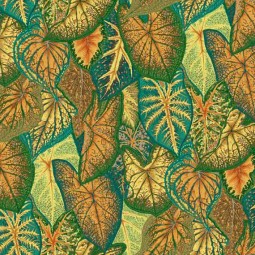 Tissu Kaffe Fassett - Caladiums Gold
