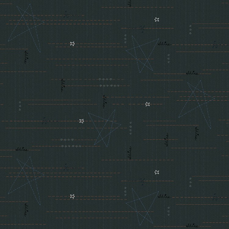 Tissu Janet Rae Nesbit - Time well spent - Star stitch navy