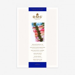 Nuancier imprimé DMC 500 coloris Mouliné