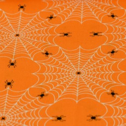 Tissu Rachel Hauer - Scaredy cat - Spiderweb