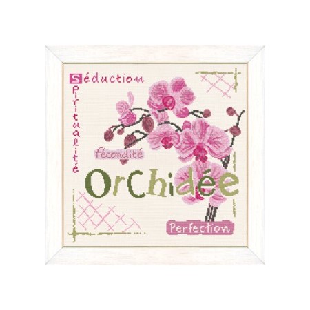 Fiche de broderie Lilipoints : Orchidée