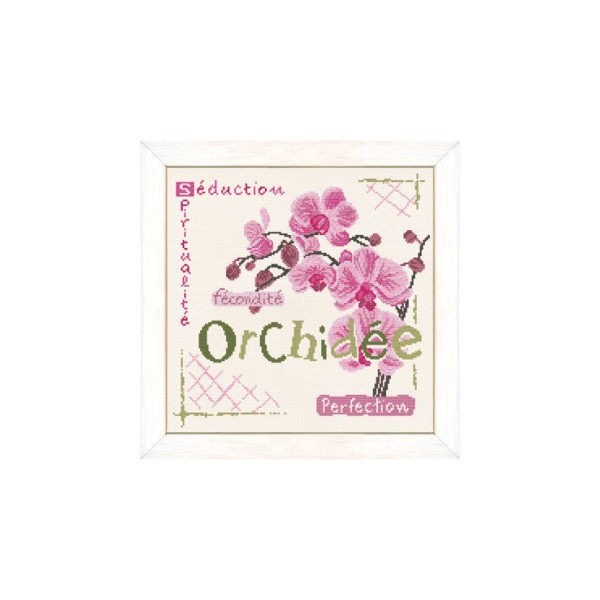 Fiche de broderie Lilipoints : Orchidée