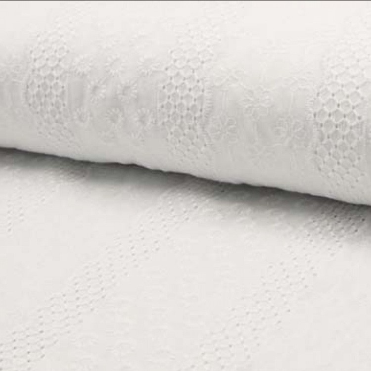Tissu Broderie - fleurs en bande blanc