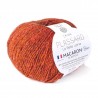 Macaron de Plassard : Couleur - 60 Orange