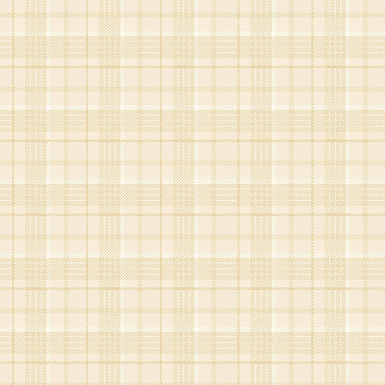 Tissu Edyta Sitar - Seabreeze Oxford
