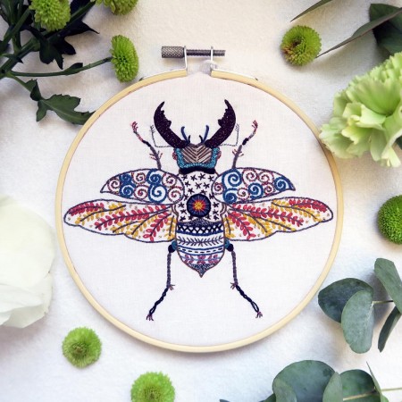 Kit de broderie - Alan le lucane
