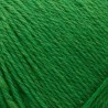 Arwetta de Filcolana : couleurs - 279 - vert