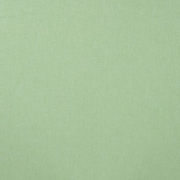 Tissu jersey - jane mint