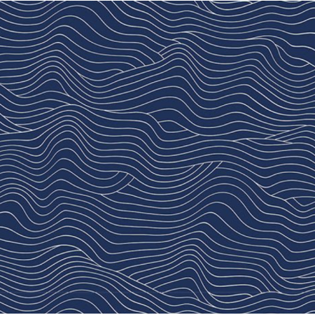 Tissu Ruby Star Society - Water - Wavelenght water navy blue